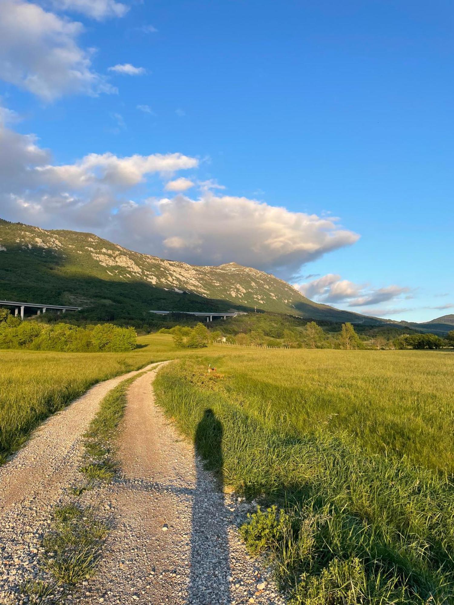 Homestead - Domacija - Nabergoj Podnanos Eksteriør billede