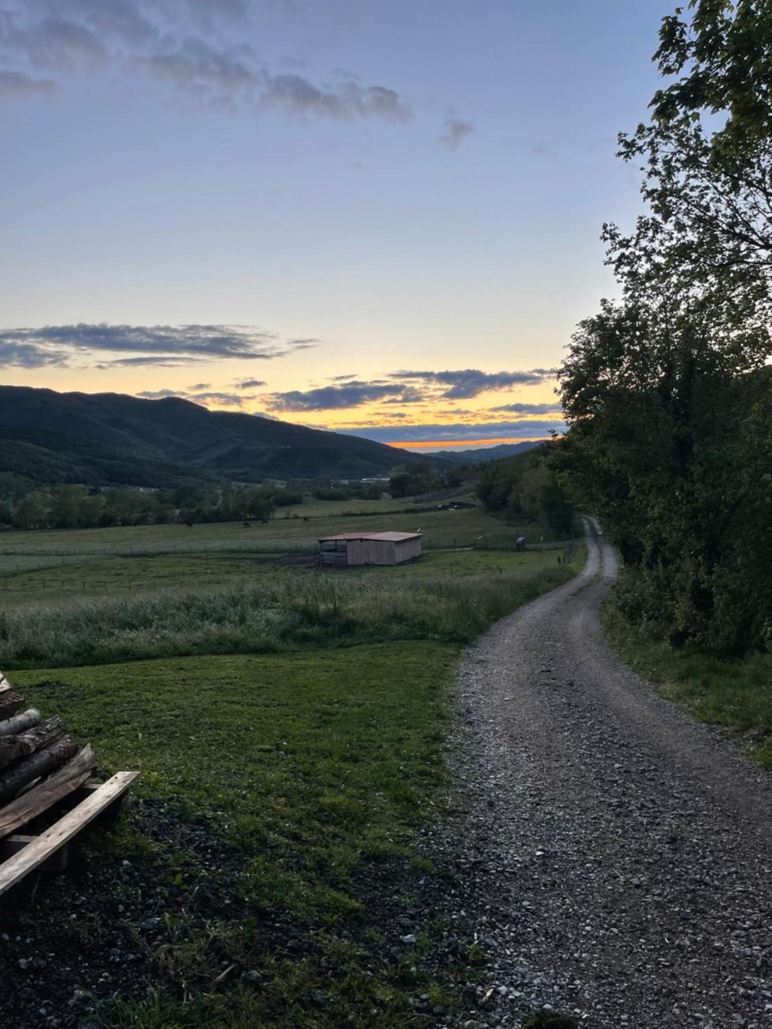 Homestead - Domacija - Nabergoj Podnanos Eksteriør billede