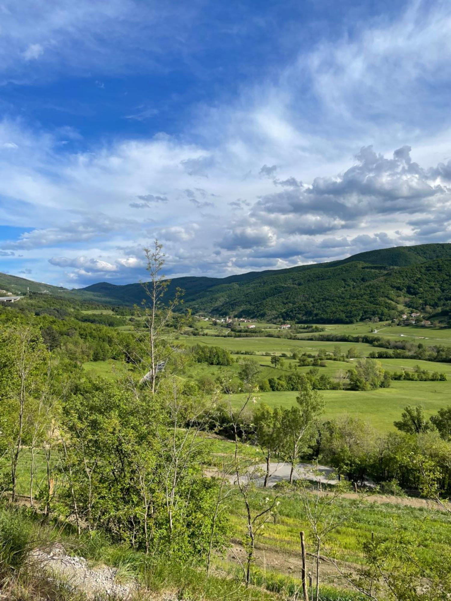 Homestead - Domacija - Nabergoj Podnanos Eksteriør billede